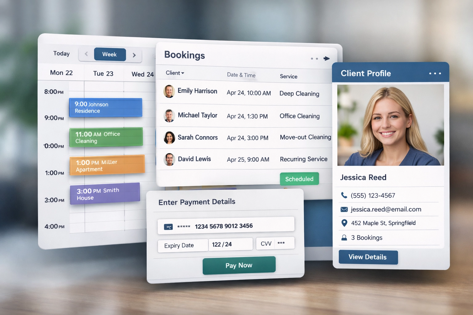 Cleaning business software in action